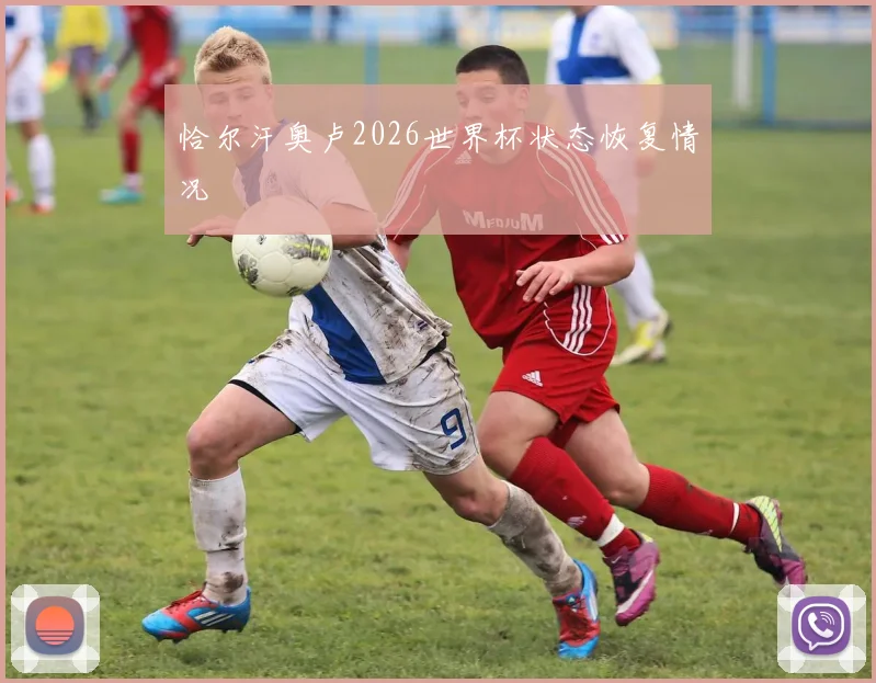 恰尔汗奥卢2026世界杯状态恢复情况