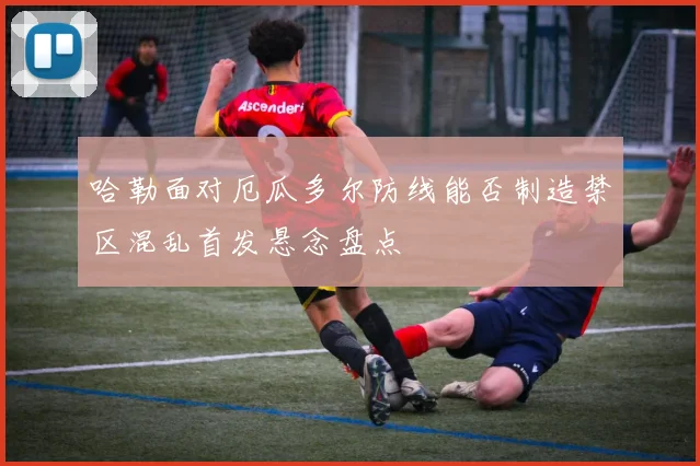 哈勒面对厄瓜多尔防线能否制造禁区混乱首发悬念盘点