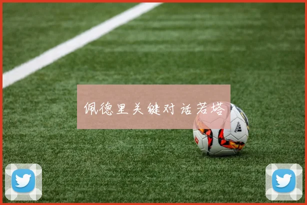 佩德里关键对话若塔
