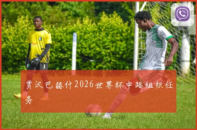 贾汉巴赫什2026世界杯中路组织任务