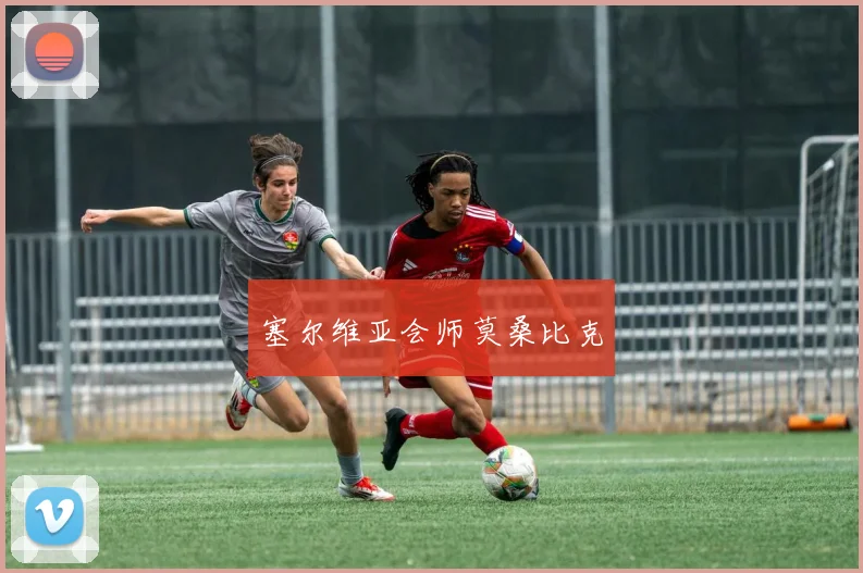 塞尔维亚会师莫桑比克