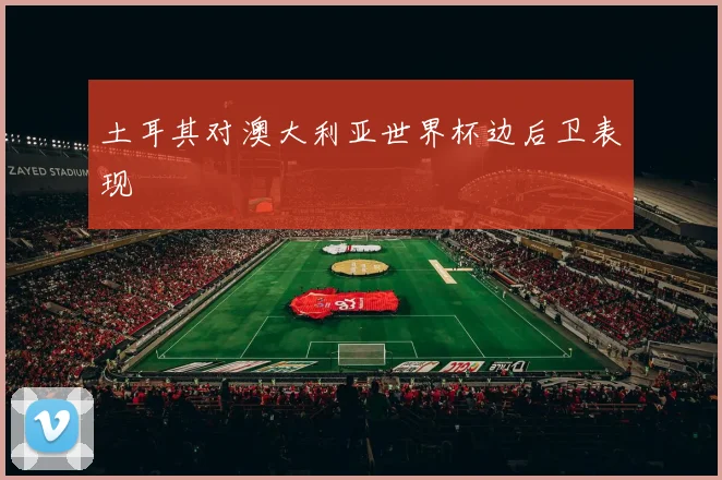 土耳其对澳大利亚世界杯边后卫表现